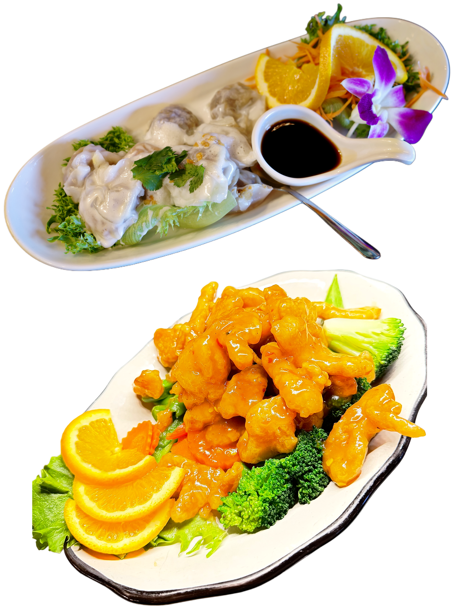 Orange Chicken and Steambutterfly